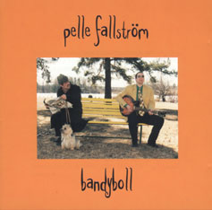 BandyBoll